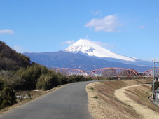 �x�m�R�̎ʐ^�ł�