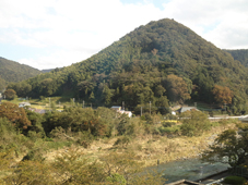 ������-�O�{���̎ʐ^�ł�